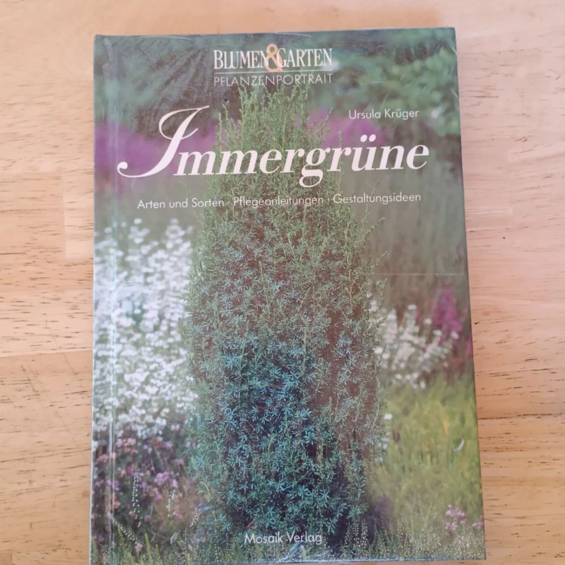 Immergrüne
