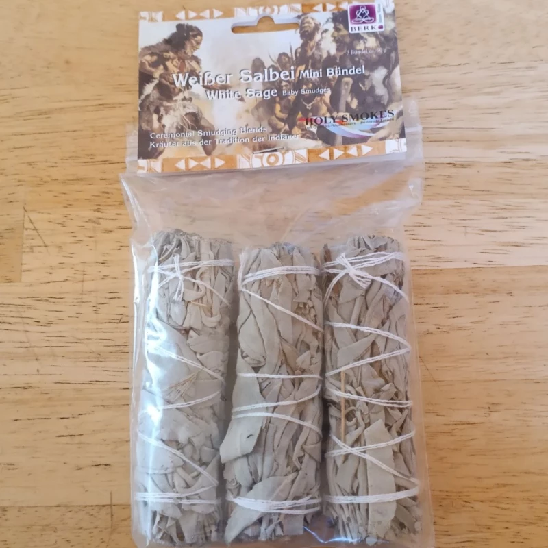 Weisser Salbei, mini im 3er Pack